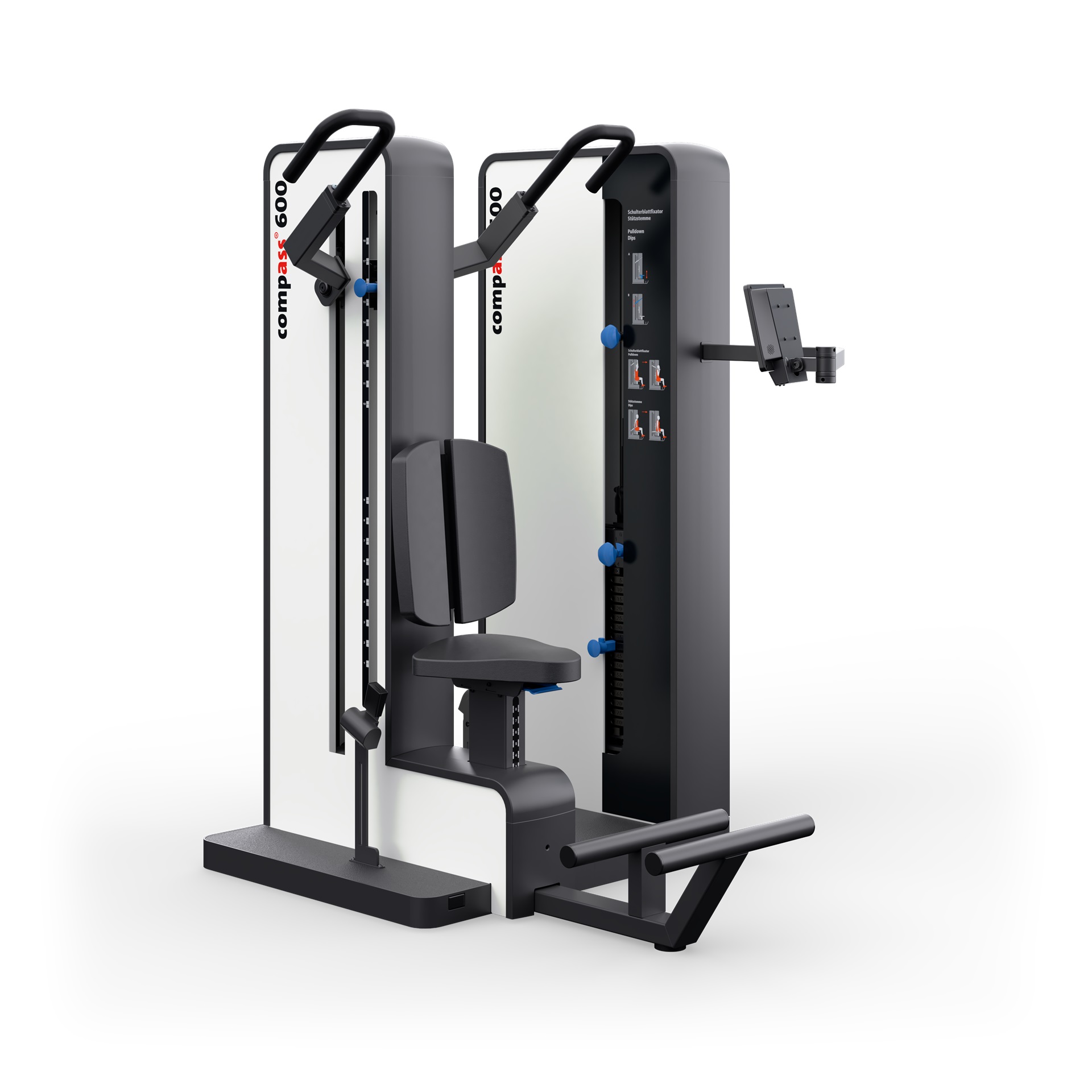 Pulldown/Dip